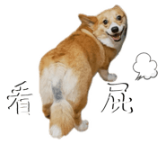 656302046