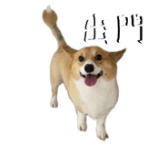 656302049