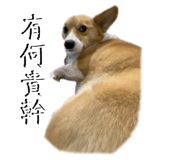 656302057