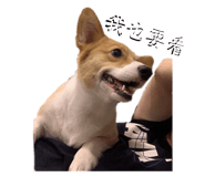 656302058