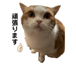 656307709