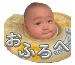656321813