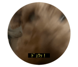 656322699