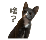 656323919