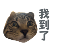 656323920