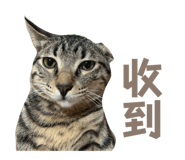 656323921