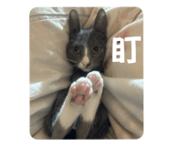 656323947