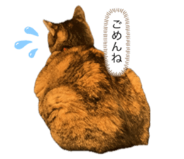 656333802