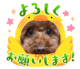 656334057
