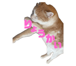 656334720