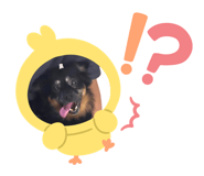 656335898
