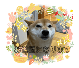 656346027