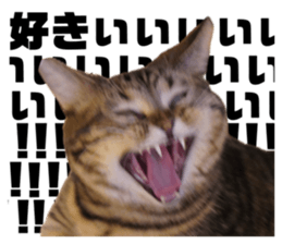 656352960
