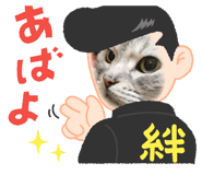 656353542