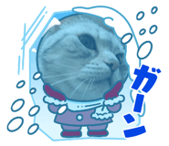 656353543