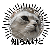 656353545