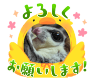 656353549
