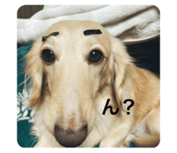 656366080