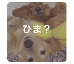 656366090