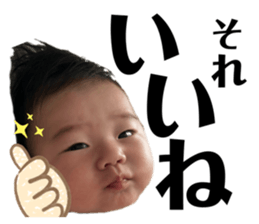 656366811