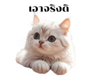 656378412