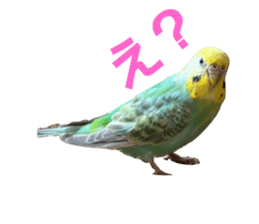 656413323