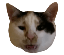 656413867