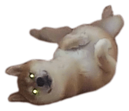 656413869