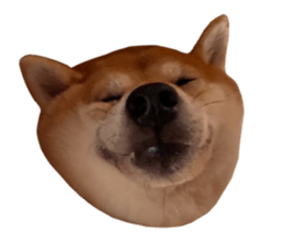 656413870