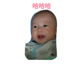 65641774