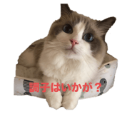 656426769