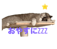656426770
