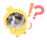 656429683
