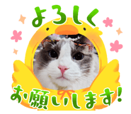 656429684