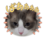 656429685