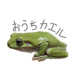 656440171