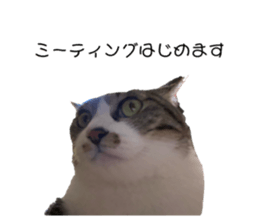 656444803