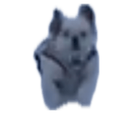 656444976