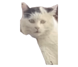 656444984