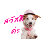 656470521