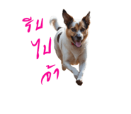 656470523