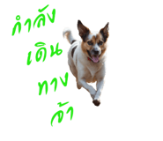 656470525