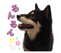656472430