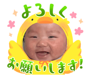 656498451