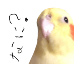656509491