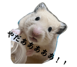 656555419