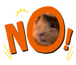 656565140