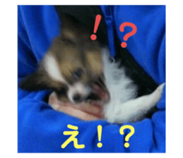 656597471