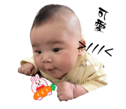 656602746