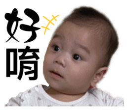 656603407